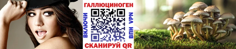 Галлюциногенные грибы MAGIC MUSHROOMS где продают Боровичи